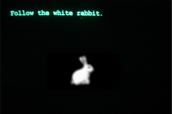 follow-the-white-rabbit-600x399